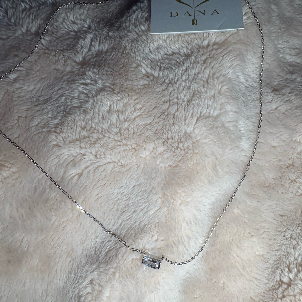 American Eagle Outfitters Elegant Silver Necklace